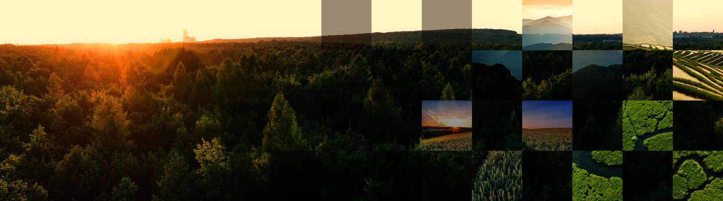 Marquee Header